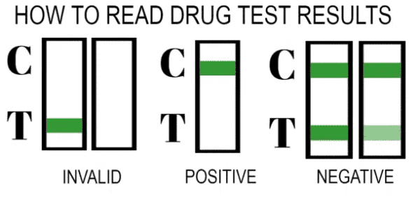 how to read drugg test results