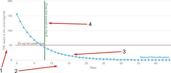 How to read thc calculator results