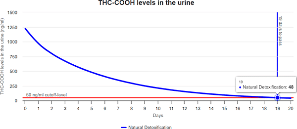 THC detox calculator results: how long does weed stays in a skinny person regular smoker